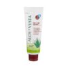 Aloe Vesta Protective Ointment