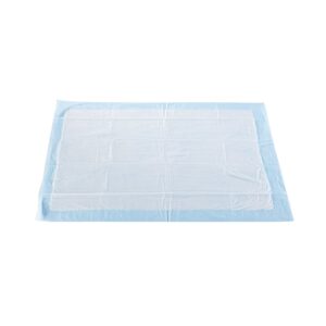 McKesson Classic Underpad